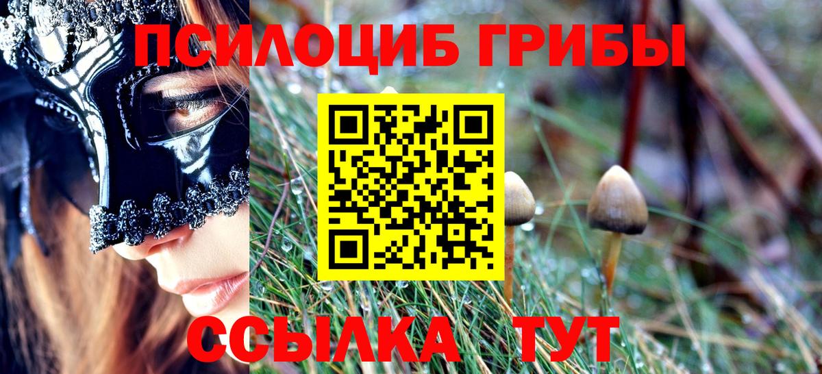 Псилоцибиновые грибы прущие грибы  Вход с VPN  Новодвинск  Псилоцибиновые грибы прущие грибы 