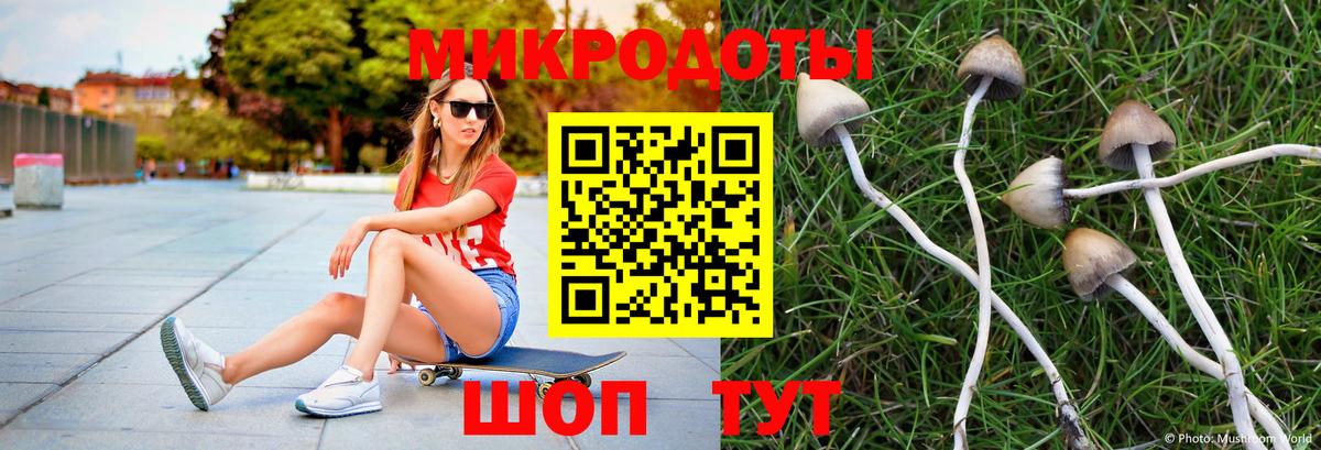 Псилоцибиновые грибы MAGIC MUSHROOMS Новодвинск
